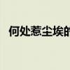 何处惹尘埃的上一句是什么(何处惹尘埃) 何处惹尘埃的上一句是什么(何处惹尘埃)