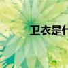 卫衣是什么季节穿（卫衣是什么）