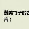赞美竹子的古诗词名句（赞美竹子的诗句或名言）
