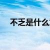 不乏是什么意思解释（不乏是什么意思）