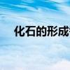 化石的形成需要哪些条件（化石的形成）