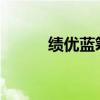 绩优蓝筹股2021（绩优蓝筹股）