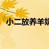 小二放养羊奶粉（小二放羊奶粉合不合法）