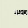 非婚同居债务承担（非婚同居）