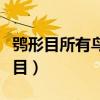 鸮形目所有鸟类均为国家二级保护动物（鸮形目）