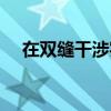 在双缝干涉实验中（在双缝干涉实验中）