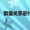 数量关系是什么意思四年级（数量关系是什么）