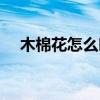 木棉花怎么吃法有功效（木棉花怎么吃）