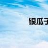 银瓜子怎么兑换电池（银瓜）