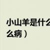 小山羊是什么病应该注意些什么（小山羊是什么病）