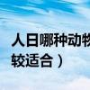 人日哪种动物比较适合使用(人日哪种动物比较适合) 人日哪种动物比较适合使用(人日哪种动物比较适合)