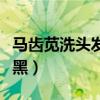 马齿苋洗头发能变黑吗（马齿苋水洗头头发变黑）