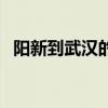 阳新到武汉的动车票(阳新到武汉的动车) 阳新到武汉的动车票(阳新到武汉的动车)