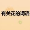 有关花的词语什么什么烟雨（有关花的词语）