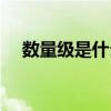 数量级是什么意思化学（数量级是什么）