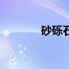 砂砾石的意思（砂砾的意思）