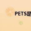 PETS是什么证书（pets是什么）
