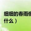 细细的春雨像什么一年级造句（细细的春雨像什么）