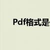 Pdf格式是什么格式（pdf格式是什么）