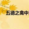五德之禽中五德指的是什么(五德之禽) 五德之禽中五德指的是什么(五德之禽)