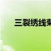 三裂绣线菊的药用价值（三裂绣线菊）