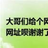 大哥们给个网址呗谢谢了怎么办（大哥们给个网址呗谢谢了）