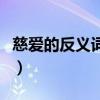 慈爱的反义词是什么字（慈爱的反义词是什么）