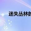 迷失丛林的得分怎么计算（迷失丛林）