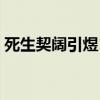 死生契阔引煜143章之后（死生契阔by引煜）