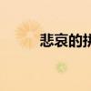 悲哀的拼音怎么读（悲哀的拼音）