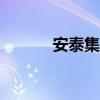 安泰集团辅酶q10（安泰集团）