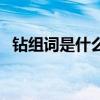 钻组词是什么啊怎么写（钻的组词是什么）