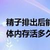 精子排出后能在女性体内存活多久（精子离开体内存活多久）
