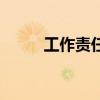 工作责任心怎么写（工作责任心）
