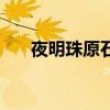 夜明珠原石价格及图片（夜明珠原石）