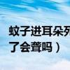 蚊子进耳朵死在里面了有事吗（蚊子进耳朵死了会聋吗）