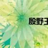 殷野王的武功水平（殷野王）