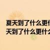 夏天到了什么更什么了更该怎么写写的短一点该怎么写（夏天到了什么更什么了）