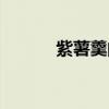 紫薯羹的功效和作用（紫薯羹）