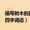 描写树木的四字词语aabb形式（描写树木的四字词语）