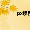 px项目百科（px项目是什么）