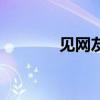 见网友被骗的案例（见网友）