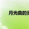 月光曲的资料100字（月光曲的资料）