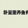 卧室里养鱼有什么讲究（养鱼有什么讲究）