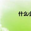 什么小鸟填动词（什么小鸟）