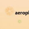 aeroplane翻译（aeroplane）
