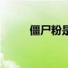 僵尸粉是什么意思微信（僵尸粉）