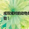 成双成对的动物是什么生肖十二生肖（成双成对的生肖有哪些）