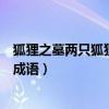 狐狸之墓两只狐狸打一成语是什么（狐狸之墓两只狐狸打一成语）