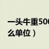 一头牛重500吨是对还是错（一头牛重500什么单位）
